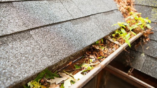 The Importance of Gutter Maintenance for Your Home's Longevity