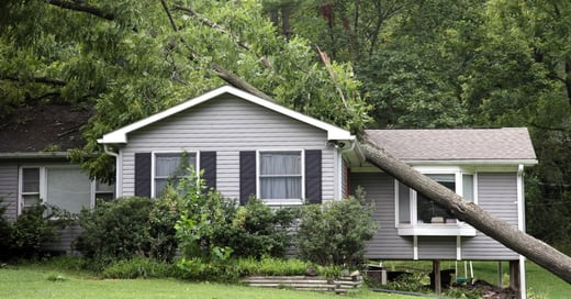 Storm Damage to Your Roof: What to Do Immediately After Severe Weather